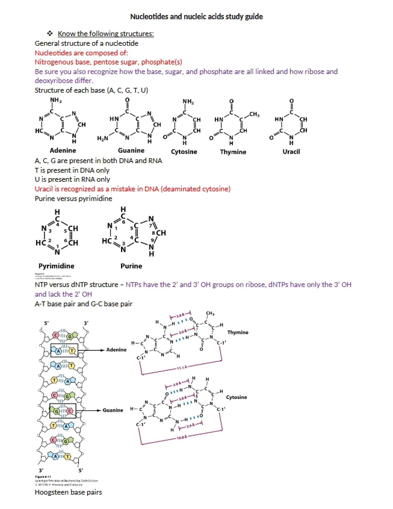 Nucleic Acids and Nucleotides