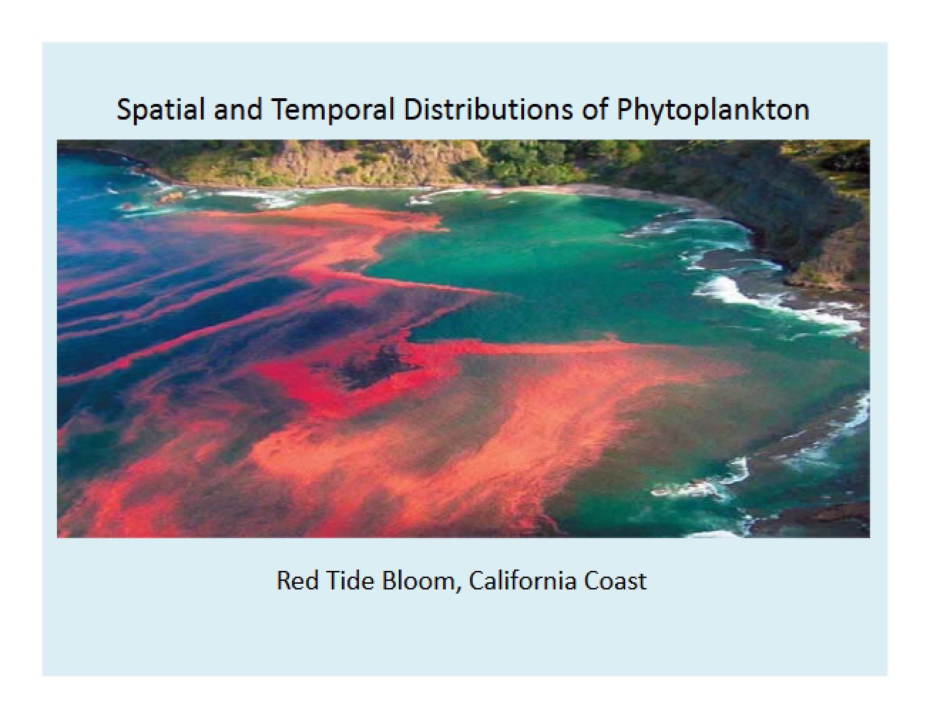 Phytoplankton, August 22