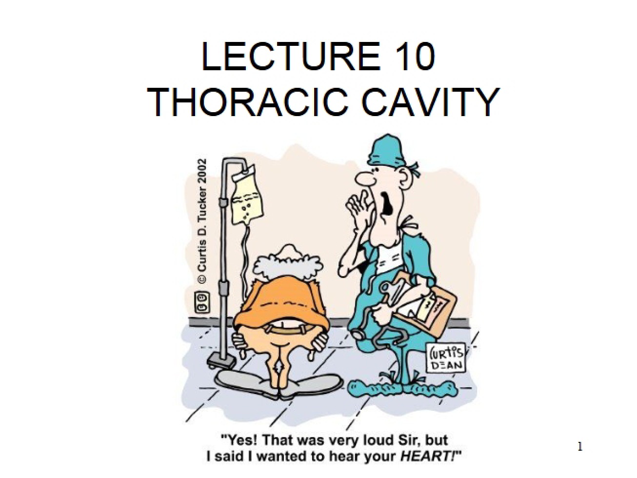 Cavity of the Thorax