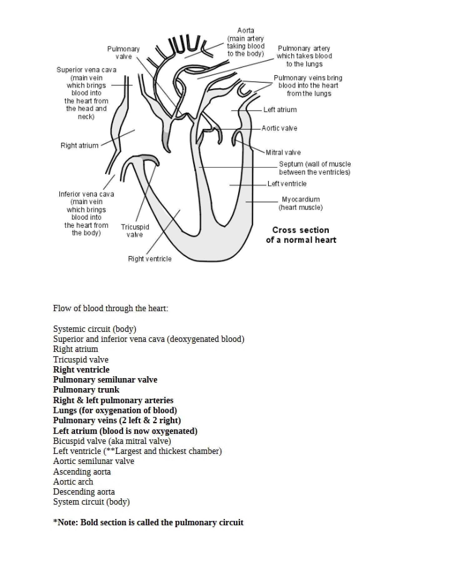 Class Notes