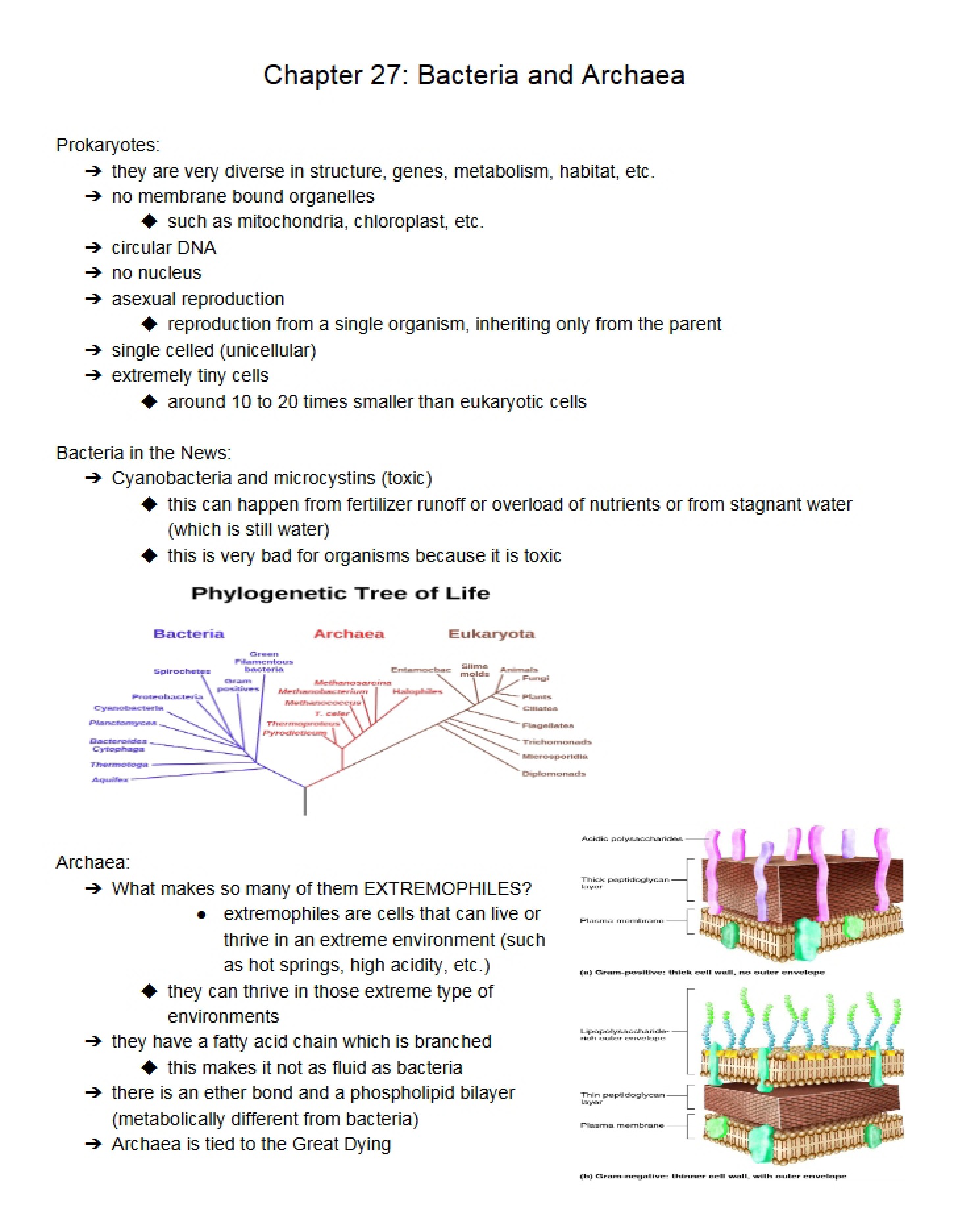 Bacteria and Archaea - Chapter 27