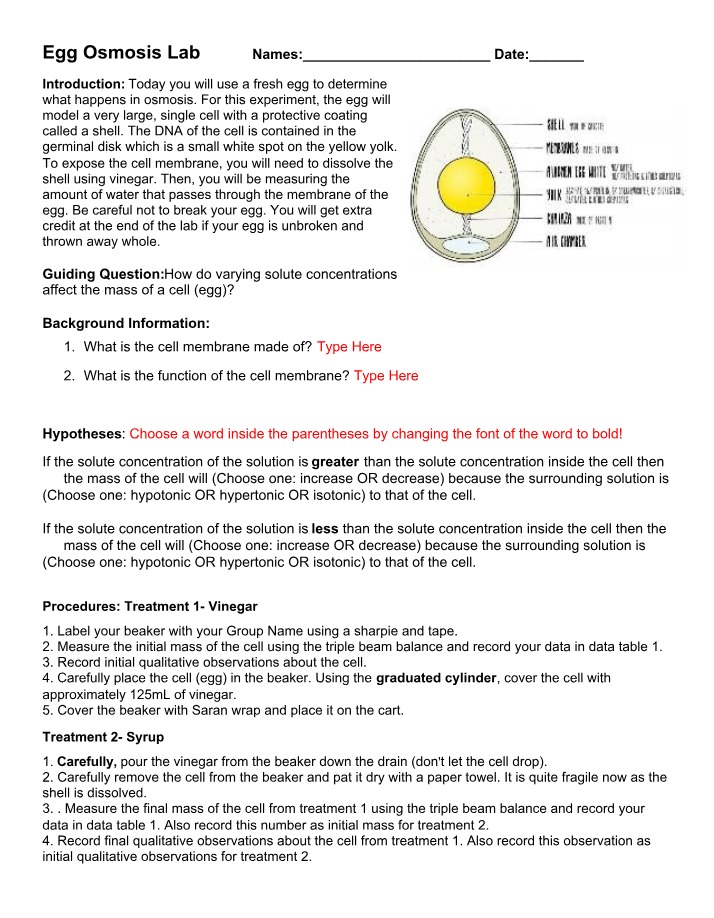 Lab on Egg Osmosis