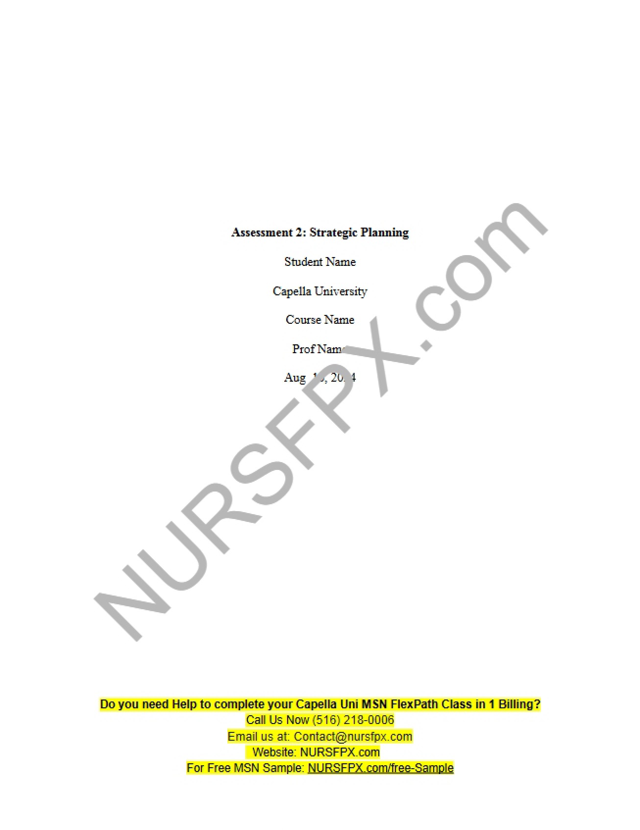 Assessment 2 Planning for Strategy