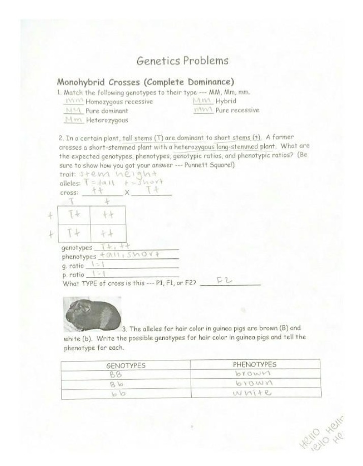 Monohybrid Crosses and Complete Dominance - Genetics Problems