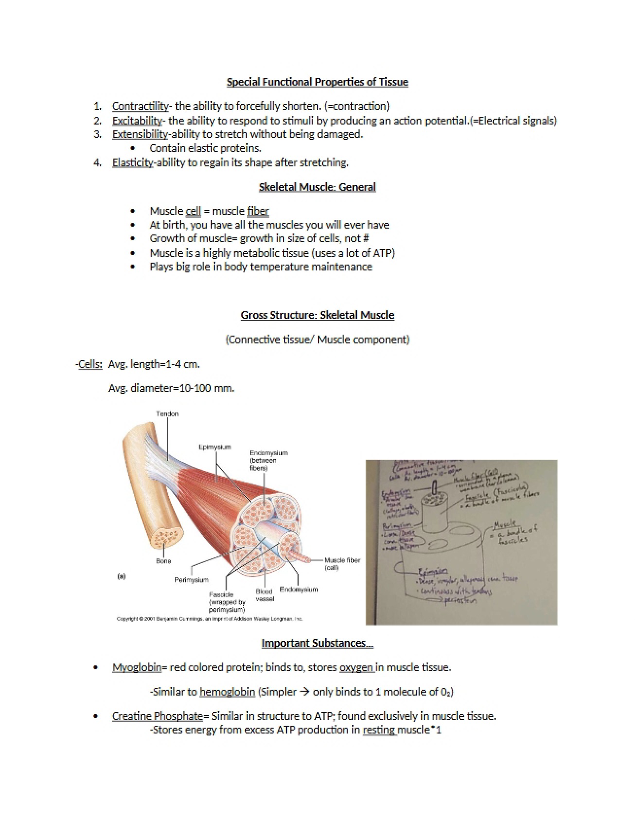 Tissue Functionality and Properties