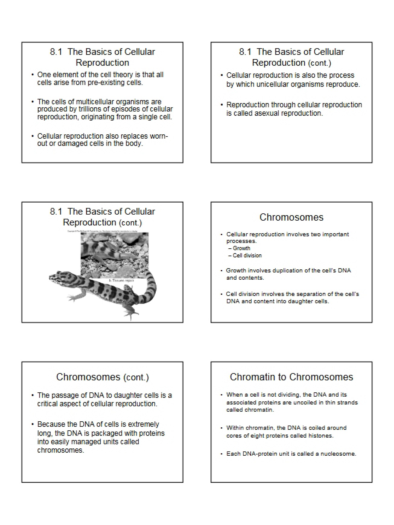 Fundamentals of Cellular Reproduction