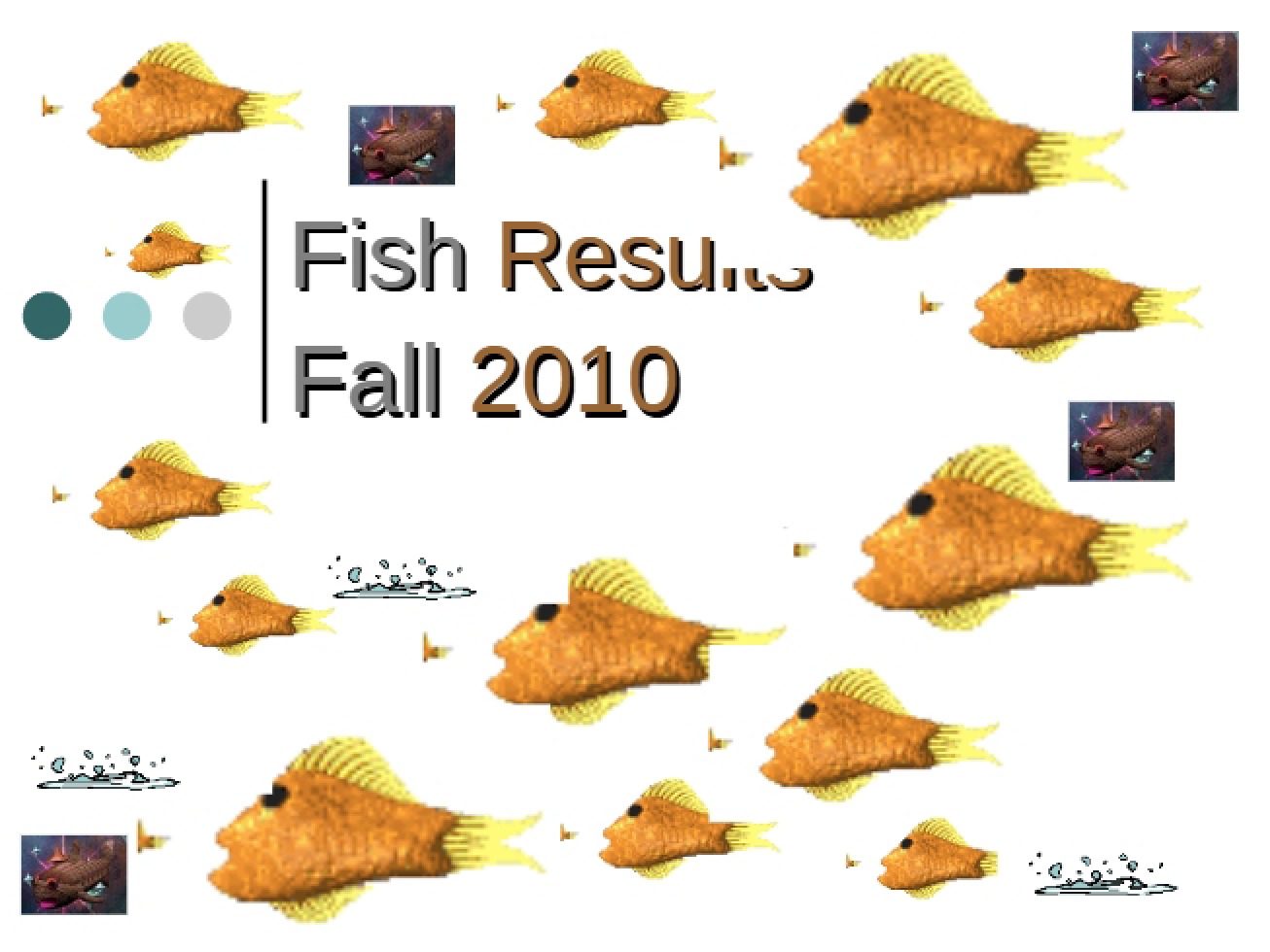 Results of Fish