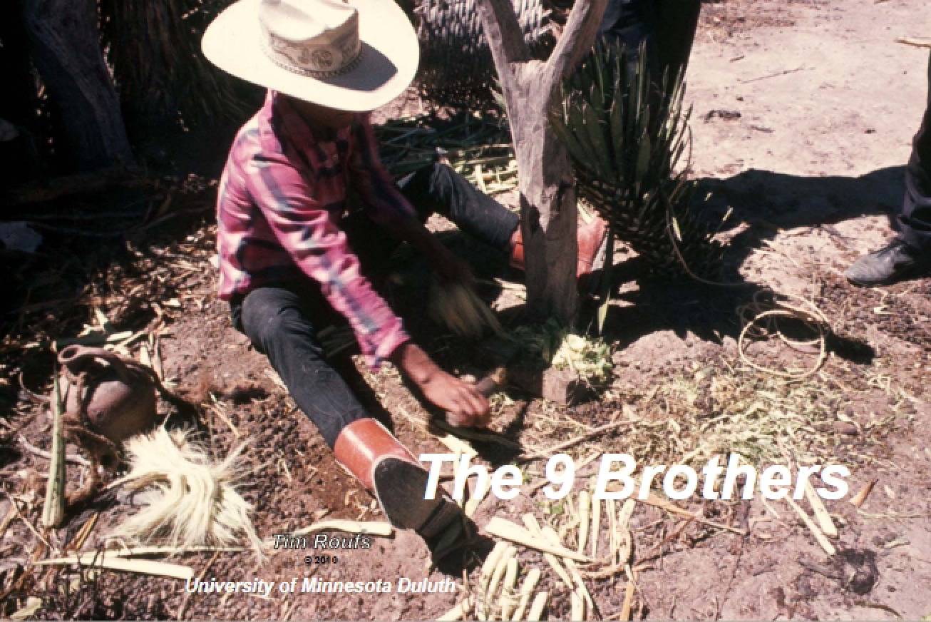 Sibling Relations in Ancient America