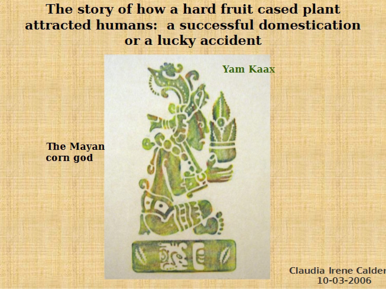 Maize Crop Overview