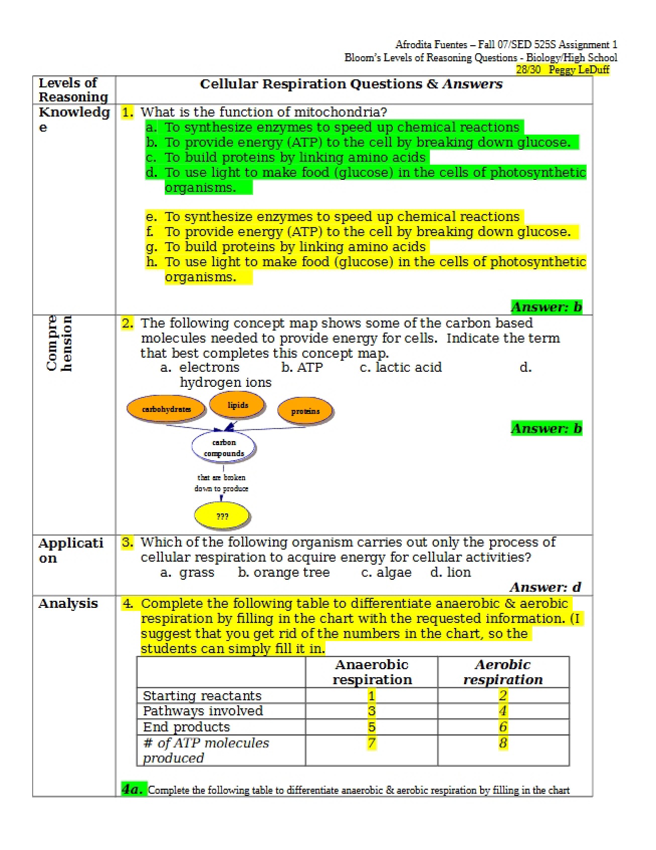 First Assignment