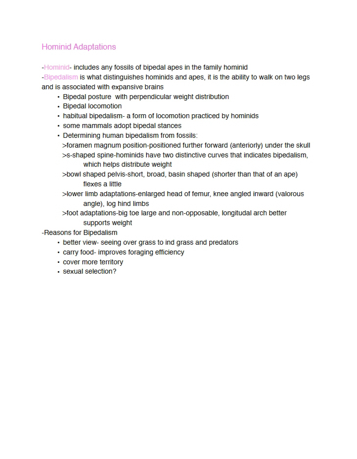 Adaptations of Hominids