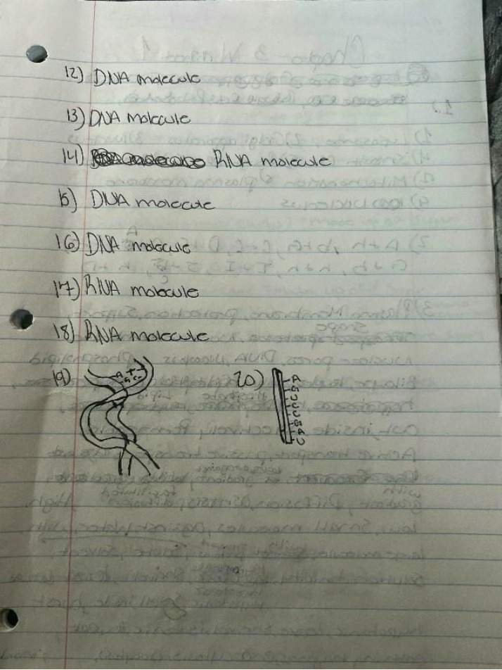 Notes on DNA and RNA Molecules