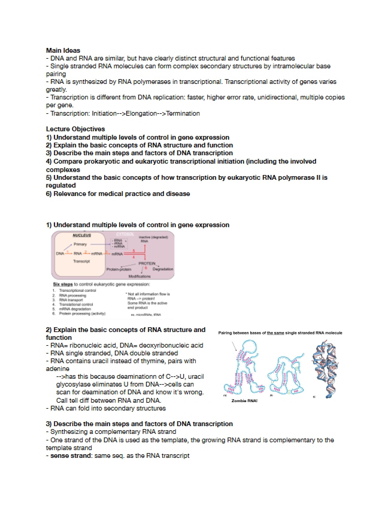 Review DNA to RNA