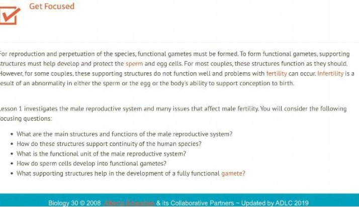 Structure, Function, and Fertility of the Male Reproductive System