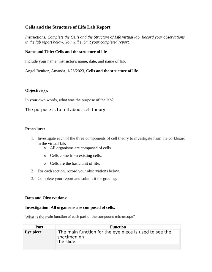 Lab Report on Cell Theory Investigation