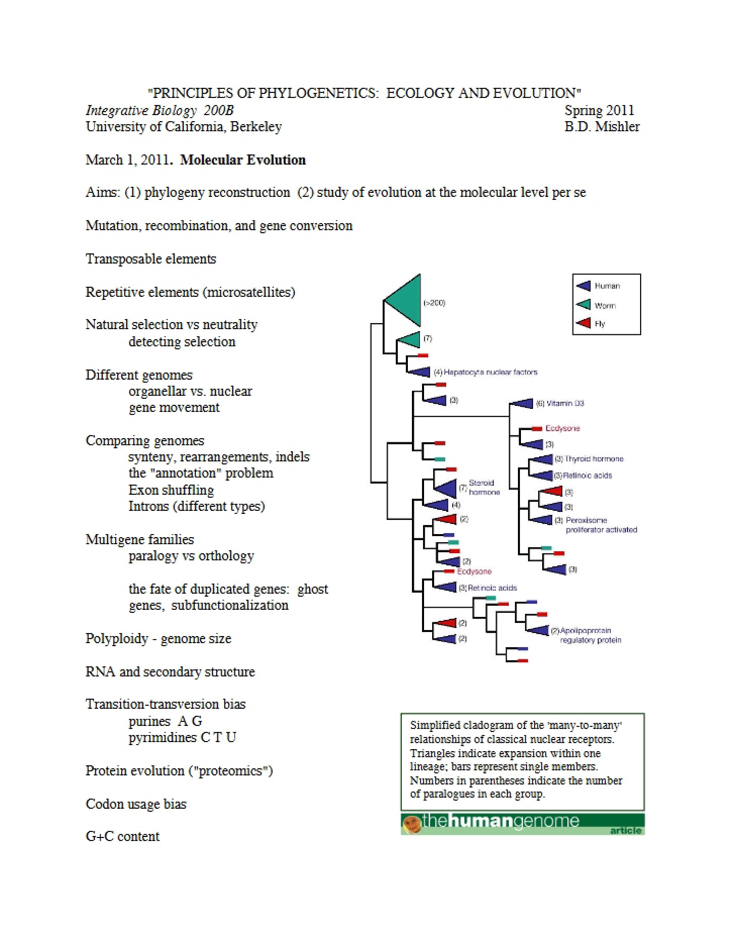 Ecology and Evolution Phylogenetics Principles