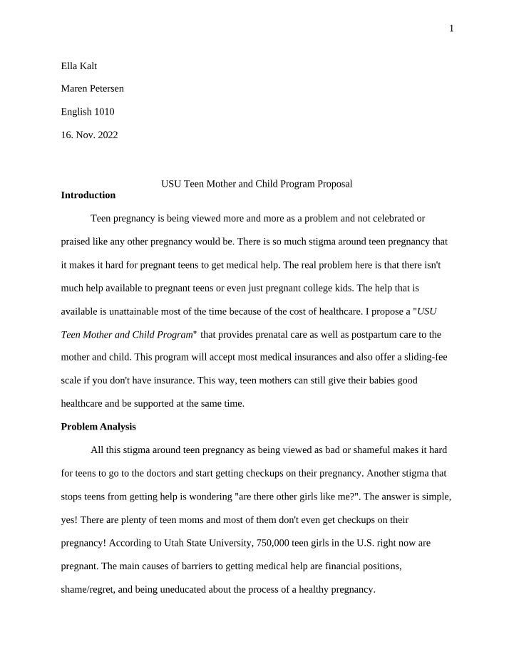 Proposal for the USU Teen Mother and Child Program