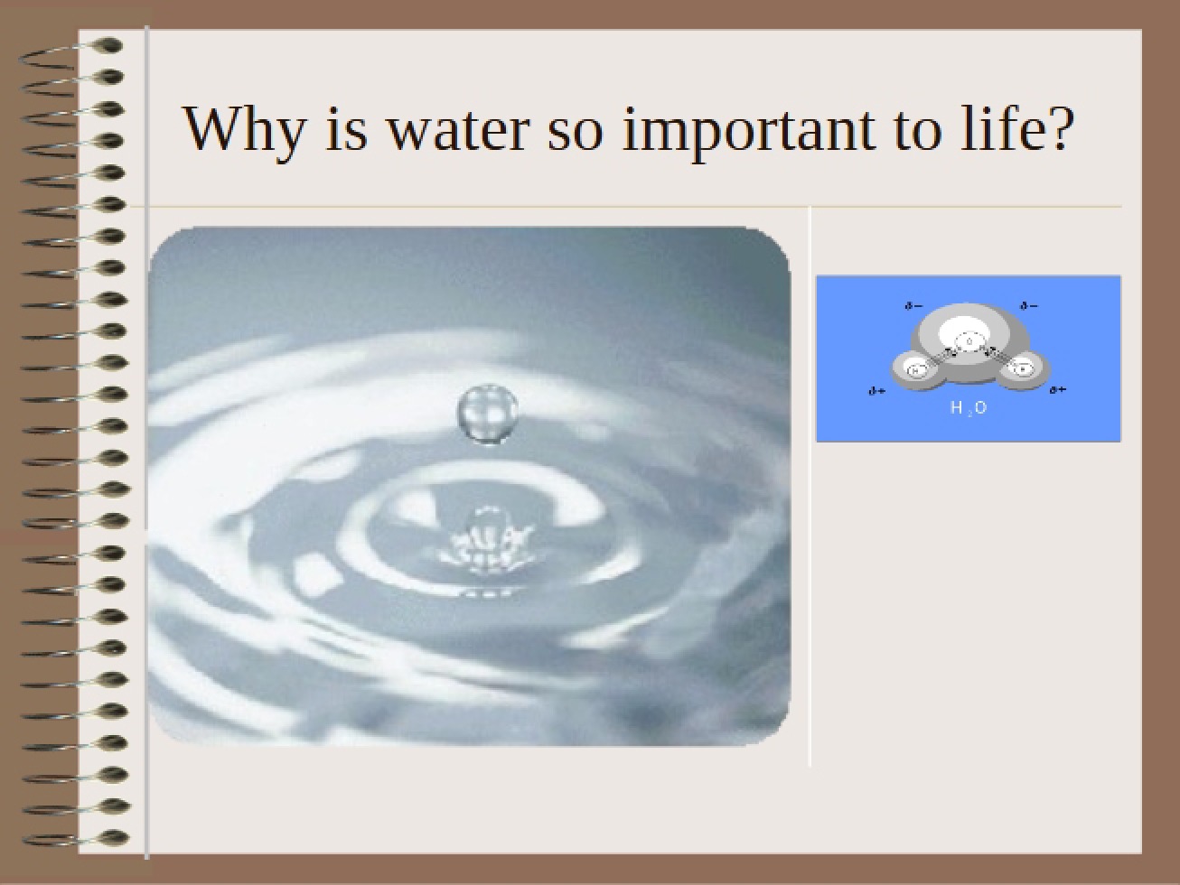 Properties of Water
