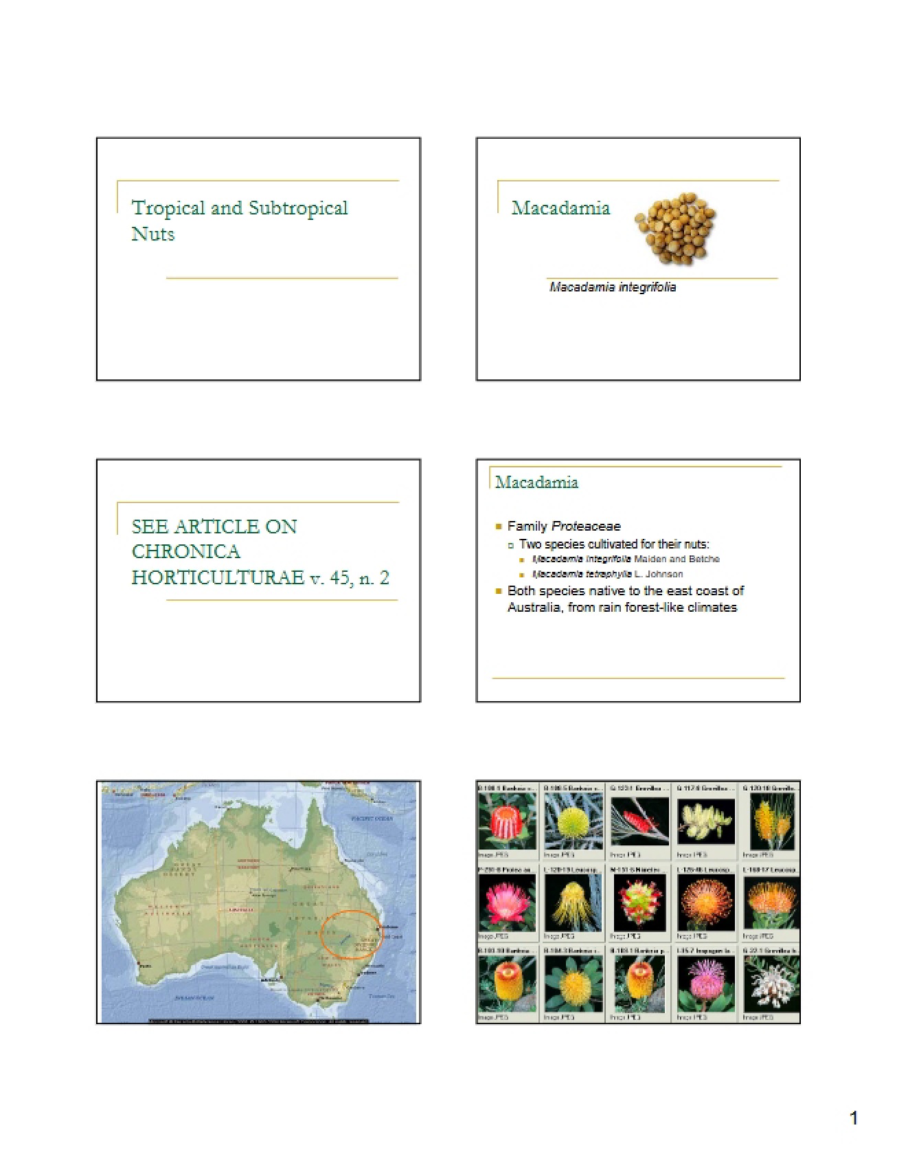 First Look at Tropical Nuts by Lombardini