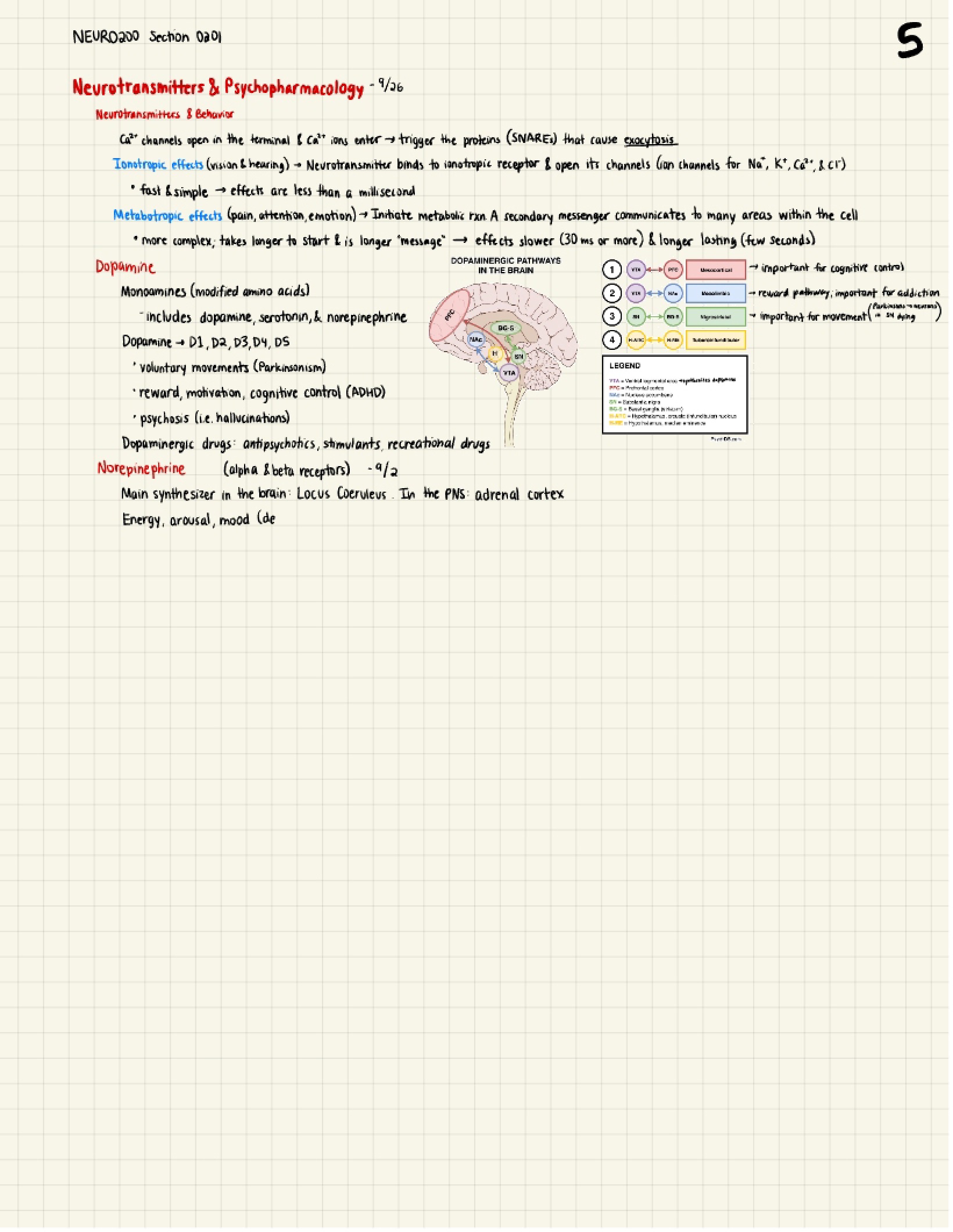 Pharmacological Psychology and Transmitters