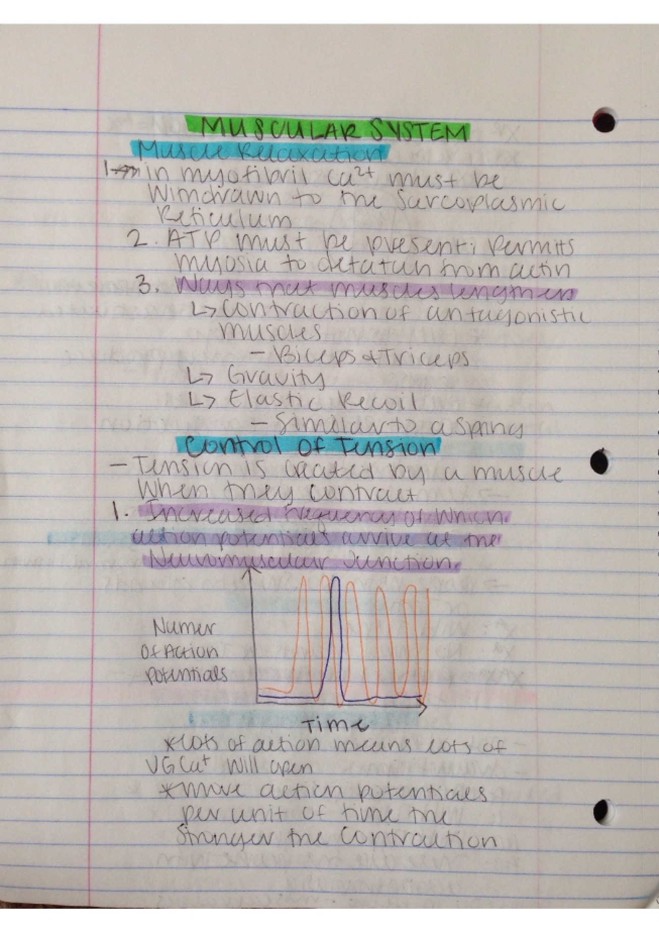 Notes - 3 Pages