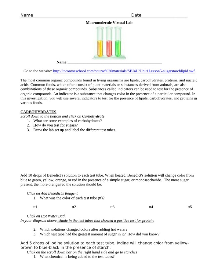 Testing Foods for Lipids, Carbohydrates, and Proteins