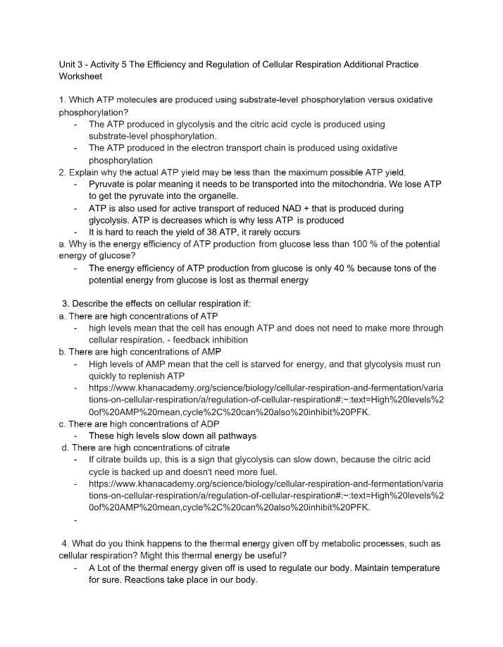 Additional Practice Worksheet - Efficiency and Regulation of Cellular Respiration