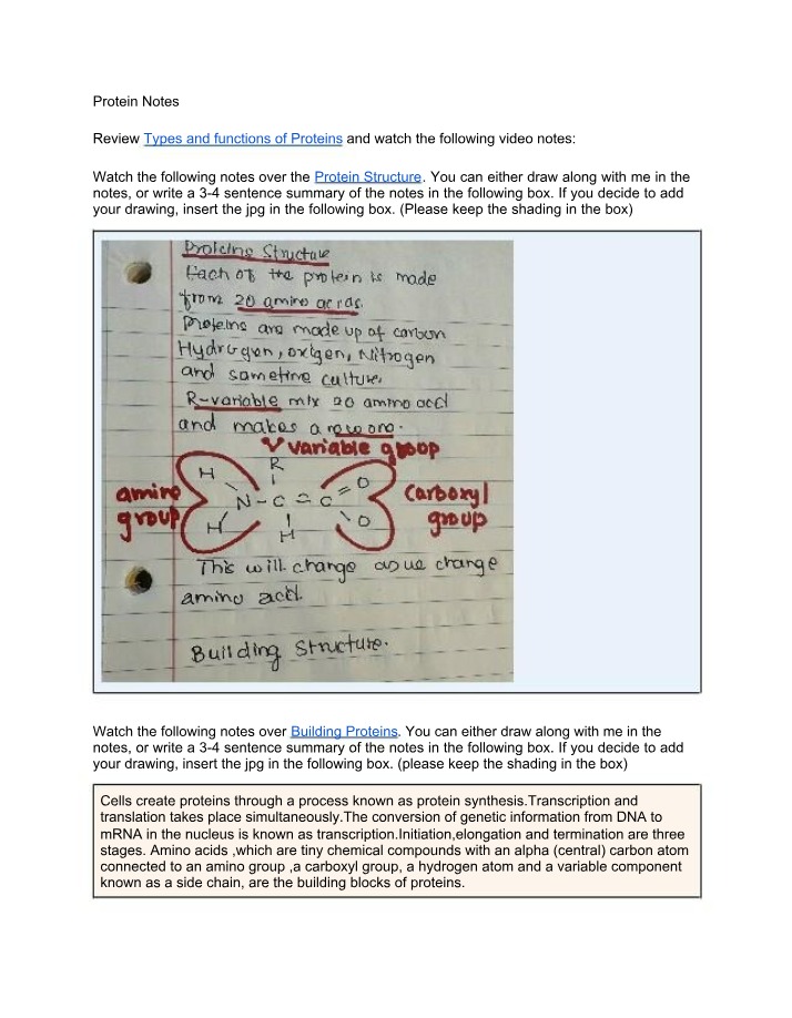Notes on Protein