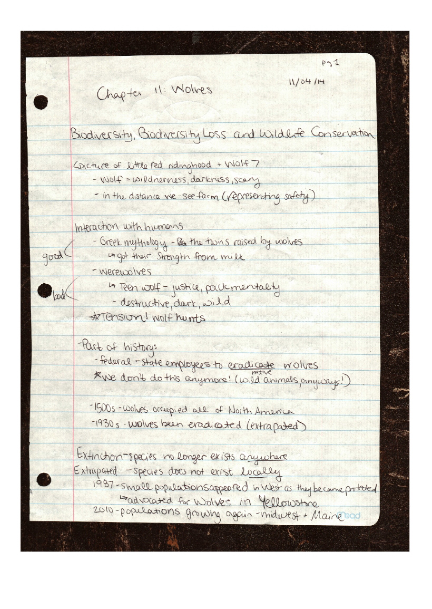 Environmental Problems Course Notes