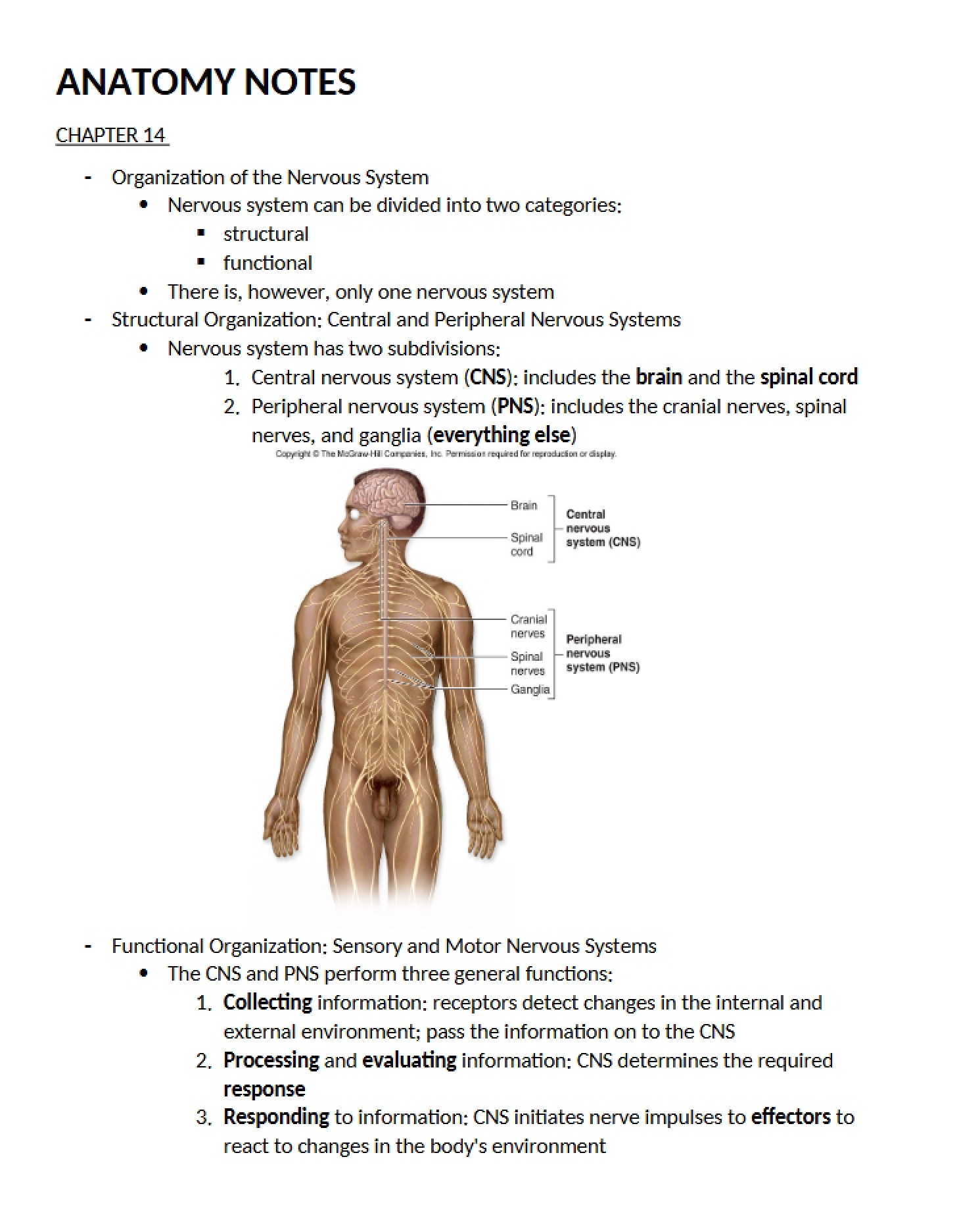 Notes on Anatomy