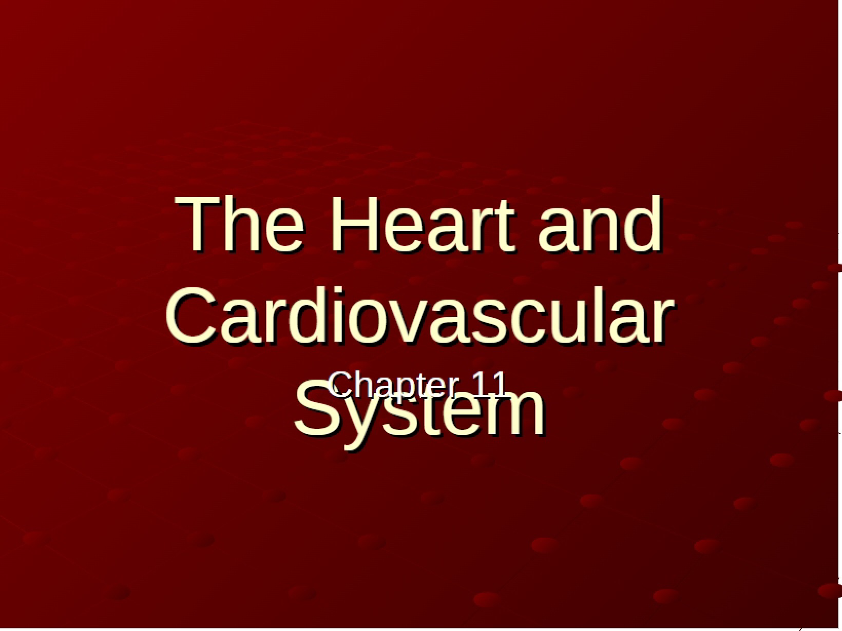 Heart Anatomy