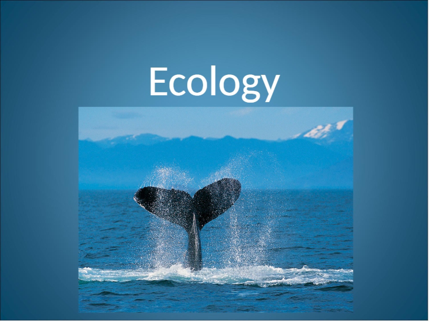 Ecological Principles