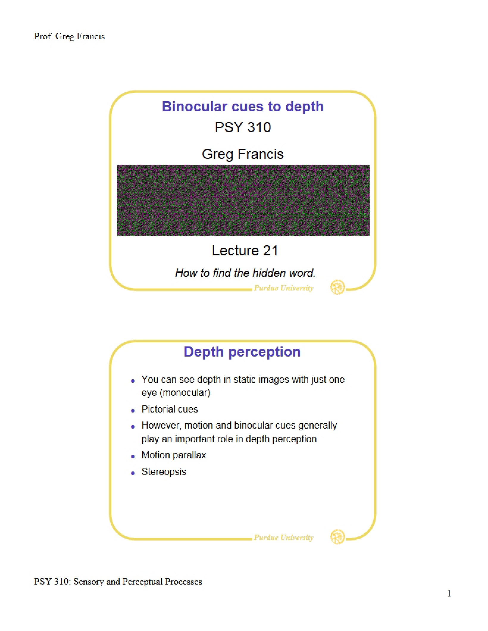 Depth Perception Binocular Cues