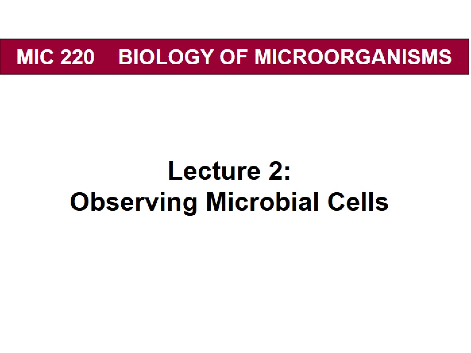 Microbe Observation 2017 Chapter 2
