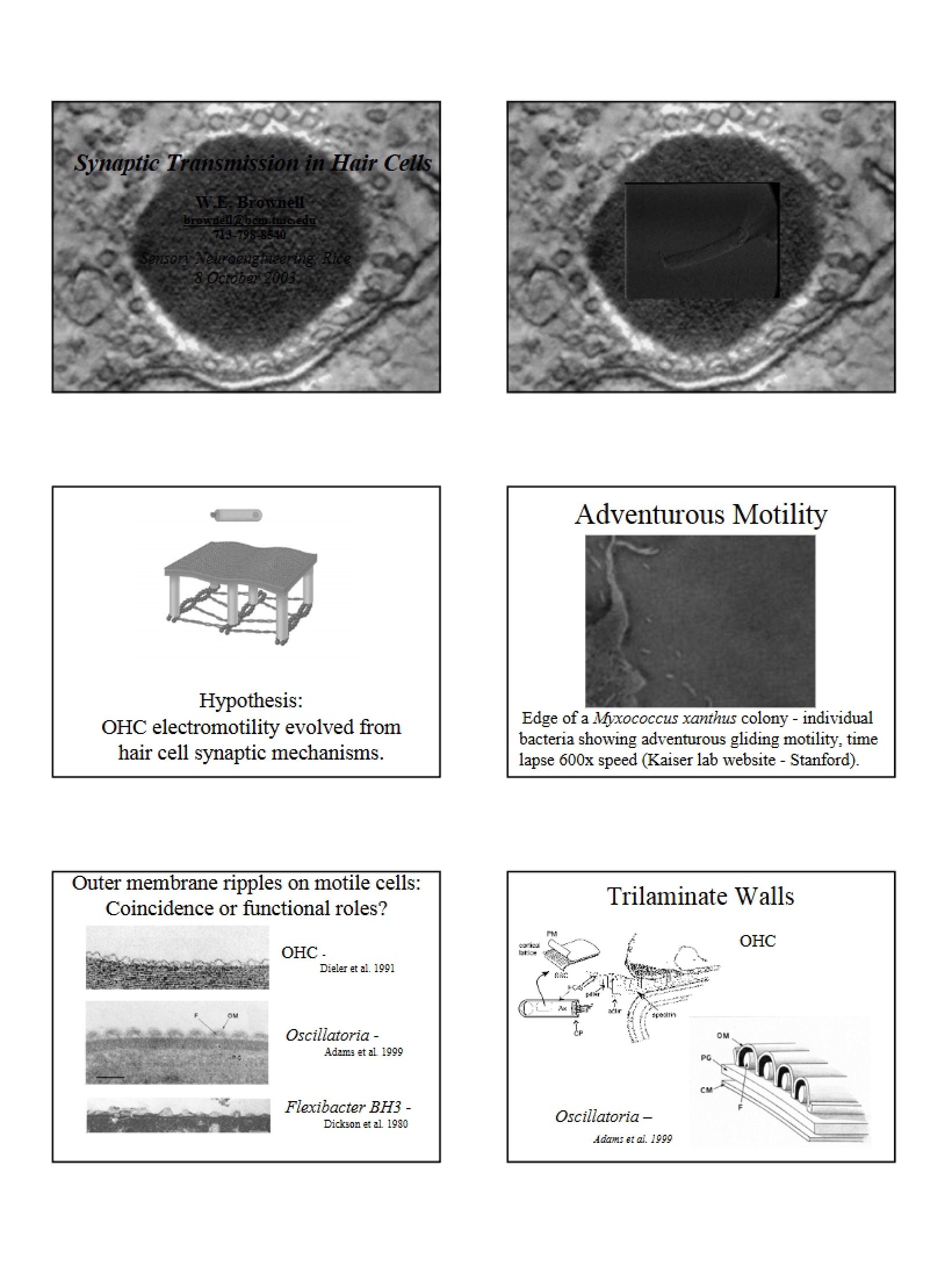 Sensory NeuroEngineering Lecture Notes