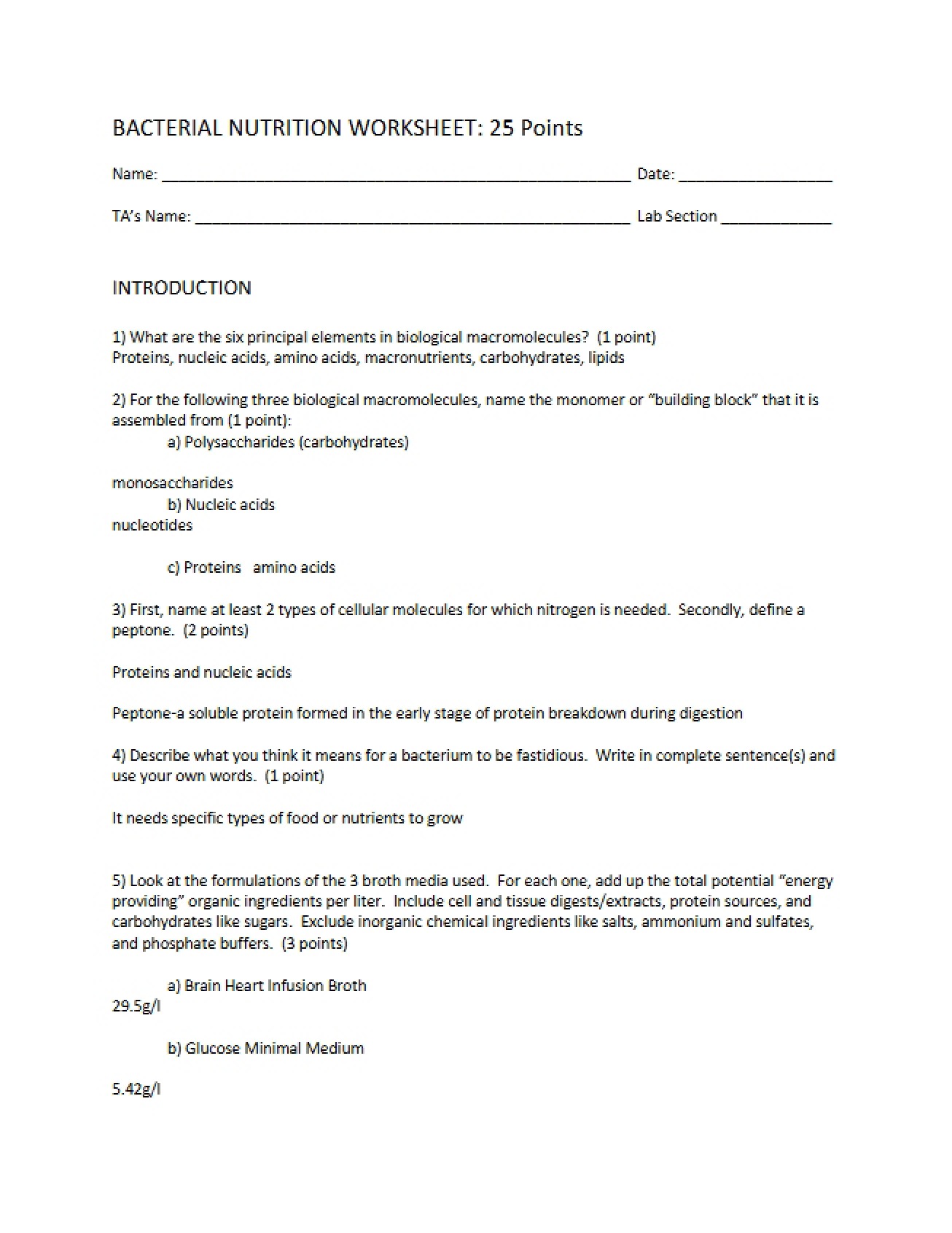 Worksheet Bacterial Nutrition