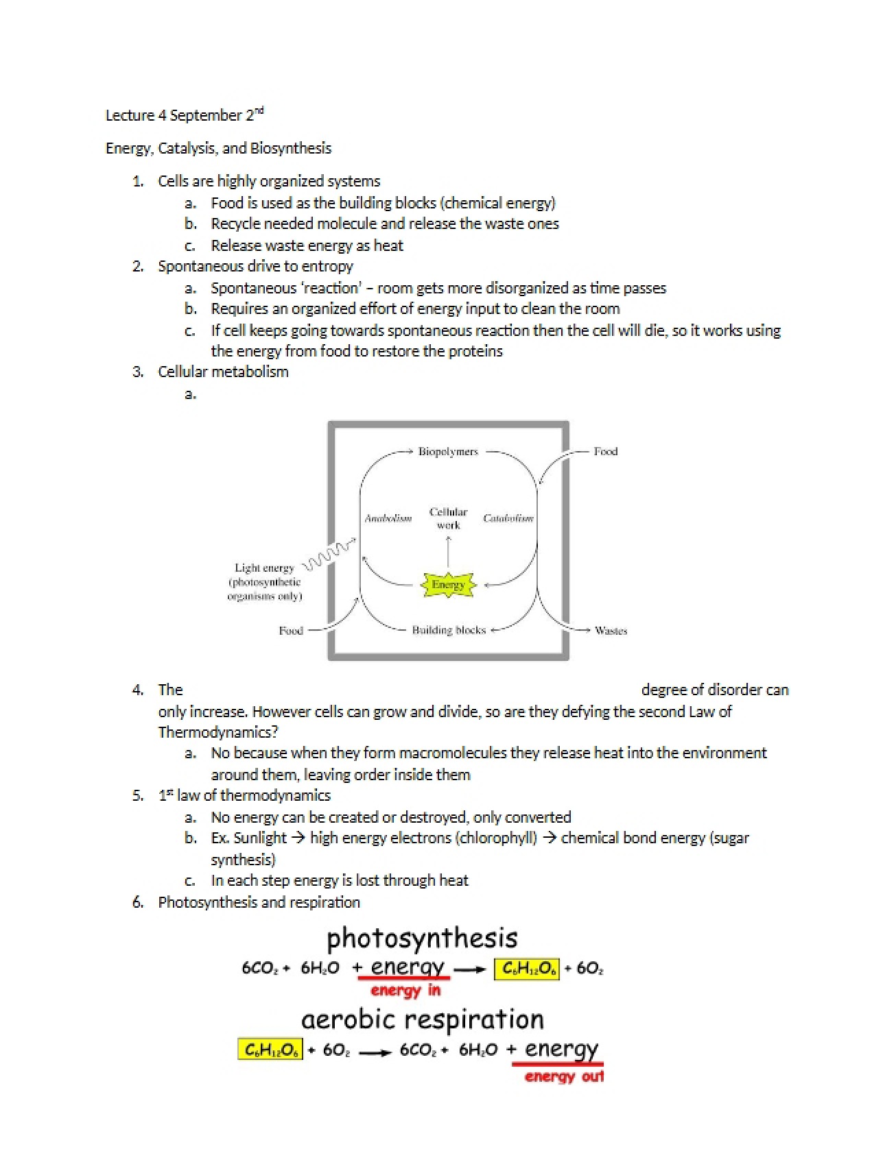 Biosynthesis, Energy, and Catalysis