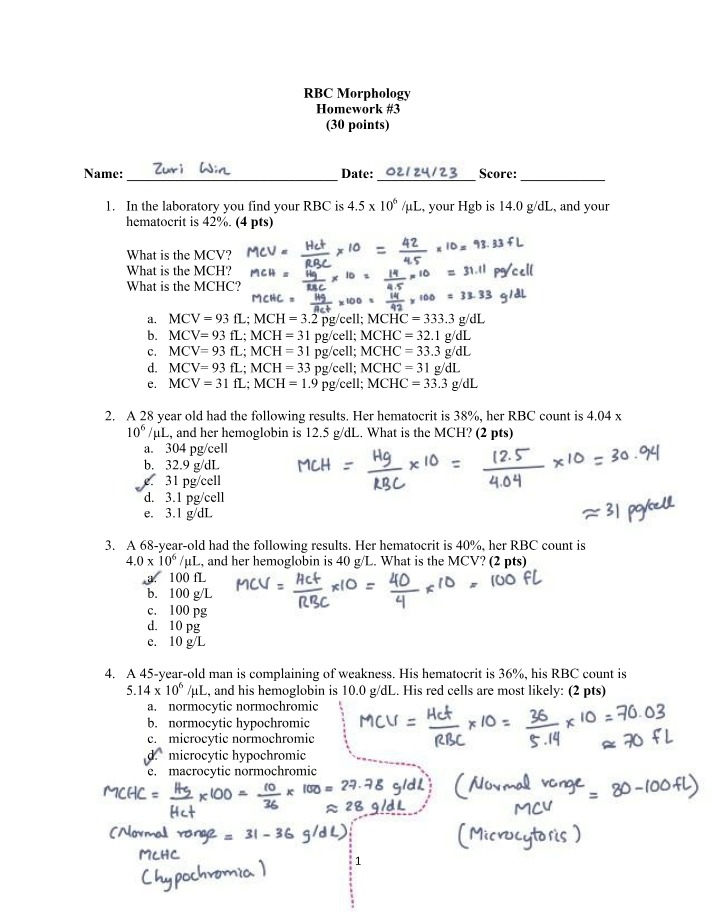 Homework 3 - RBC Morphology