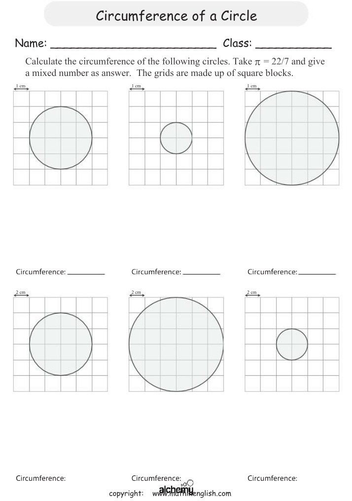 Worksheet on Circumference of a Circle - Set 2