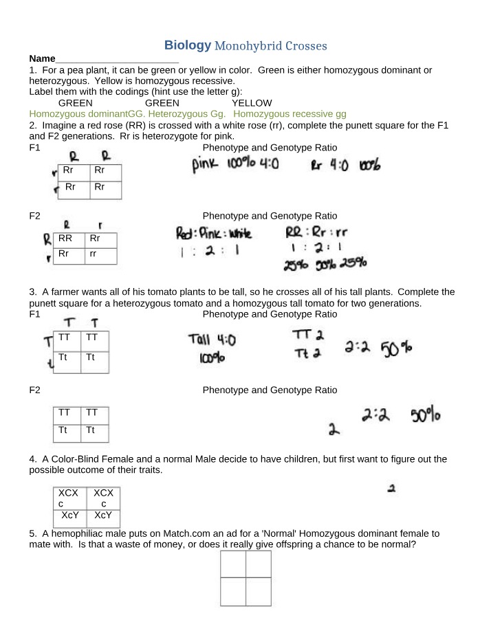 Monohybrid Crosses - Inheritance Patterns in Biology