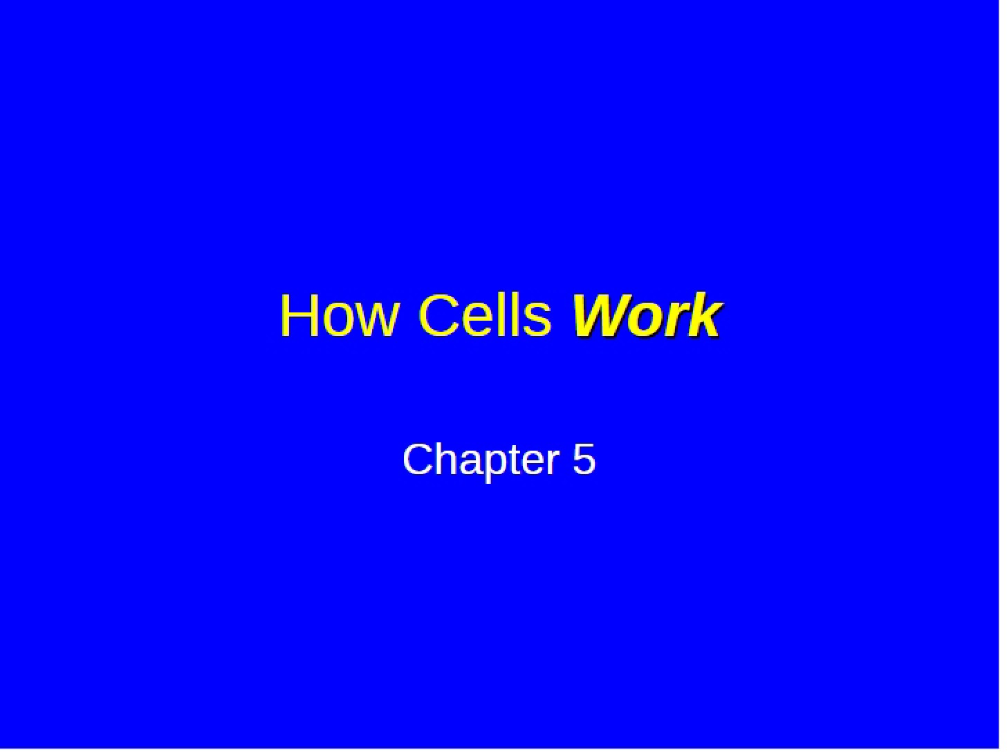 Cellular Function
