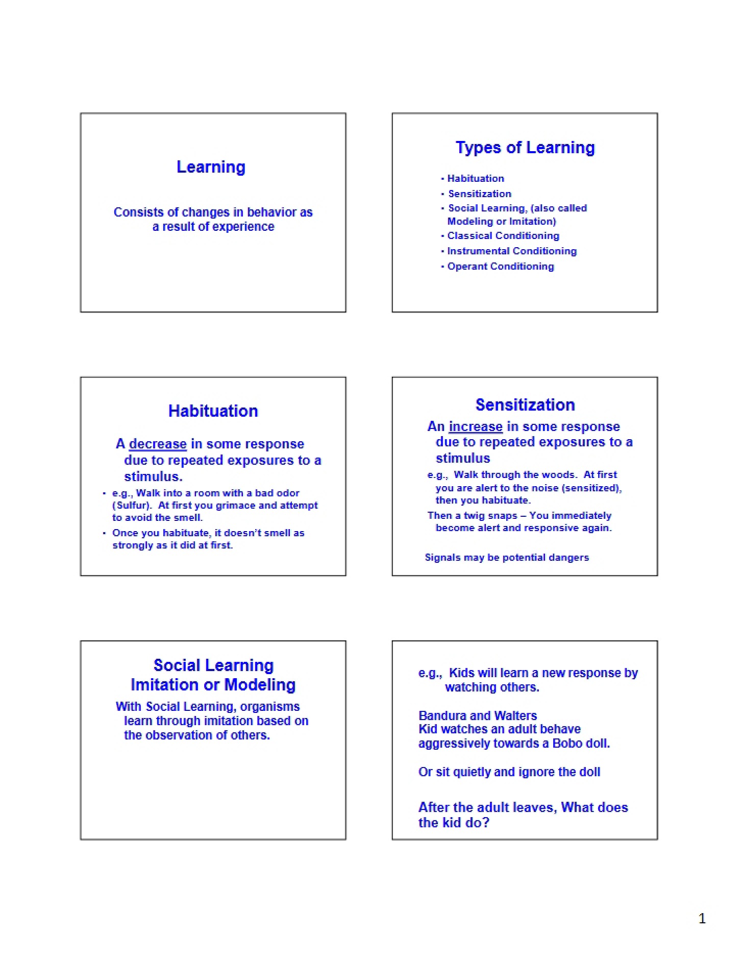 Learning Process