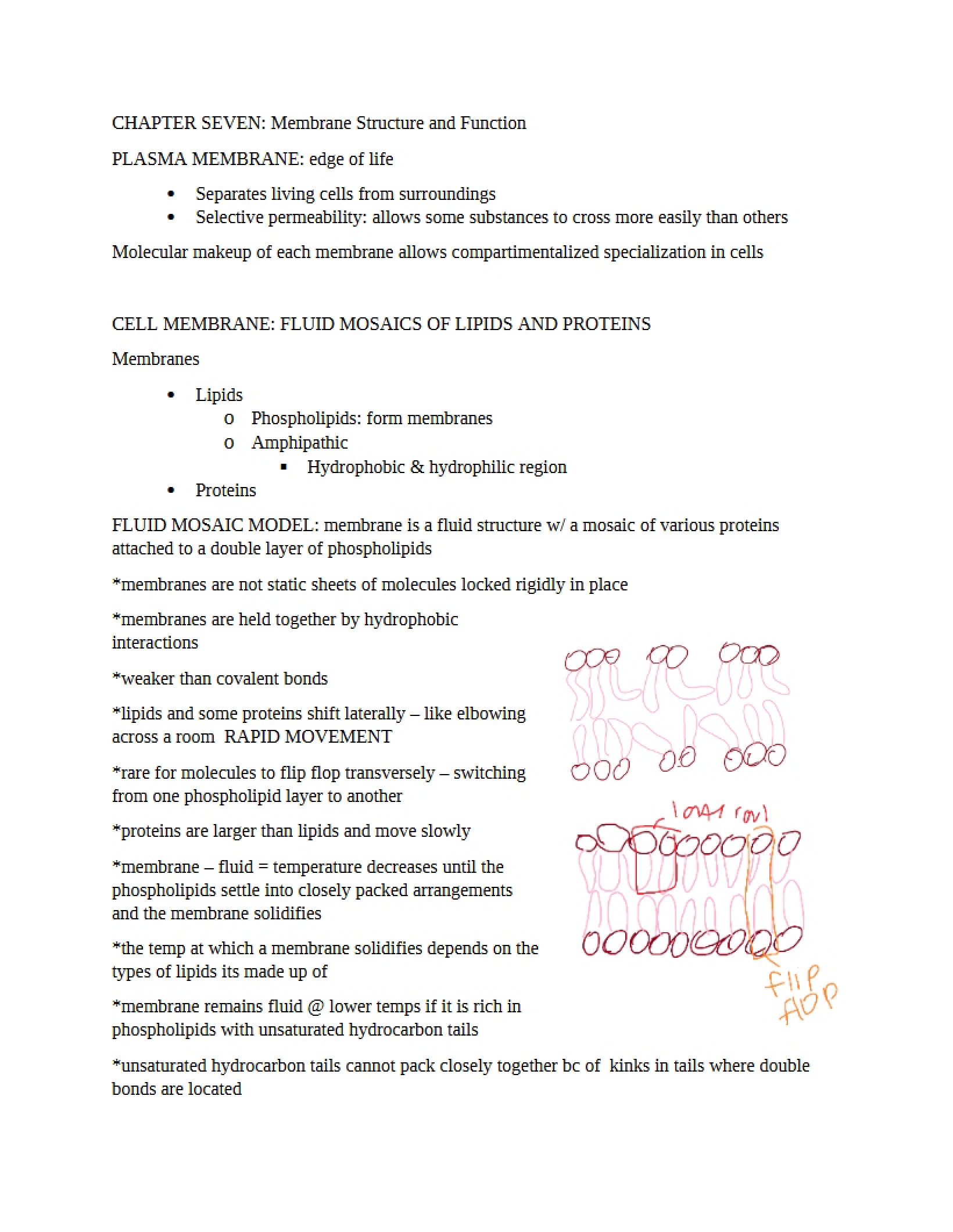 Membrane Structure and Function Chapter 7