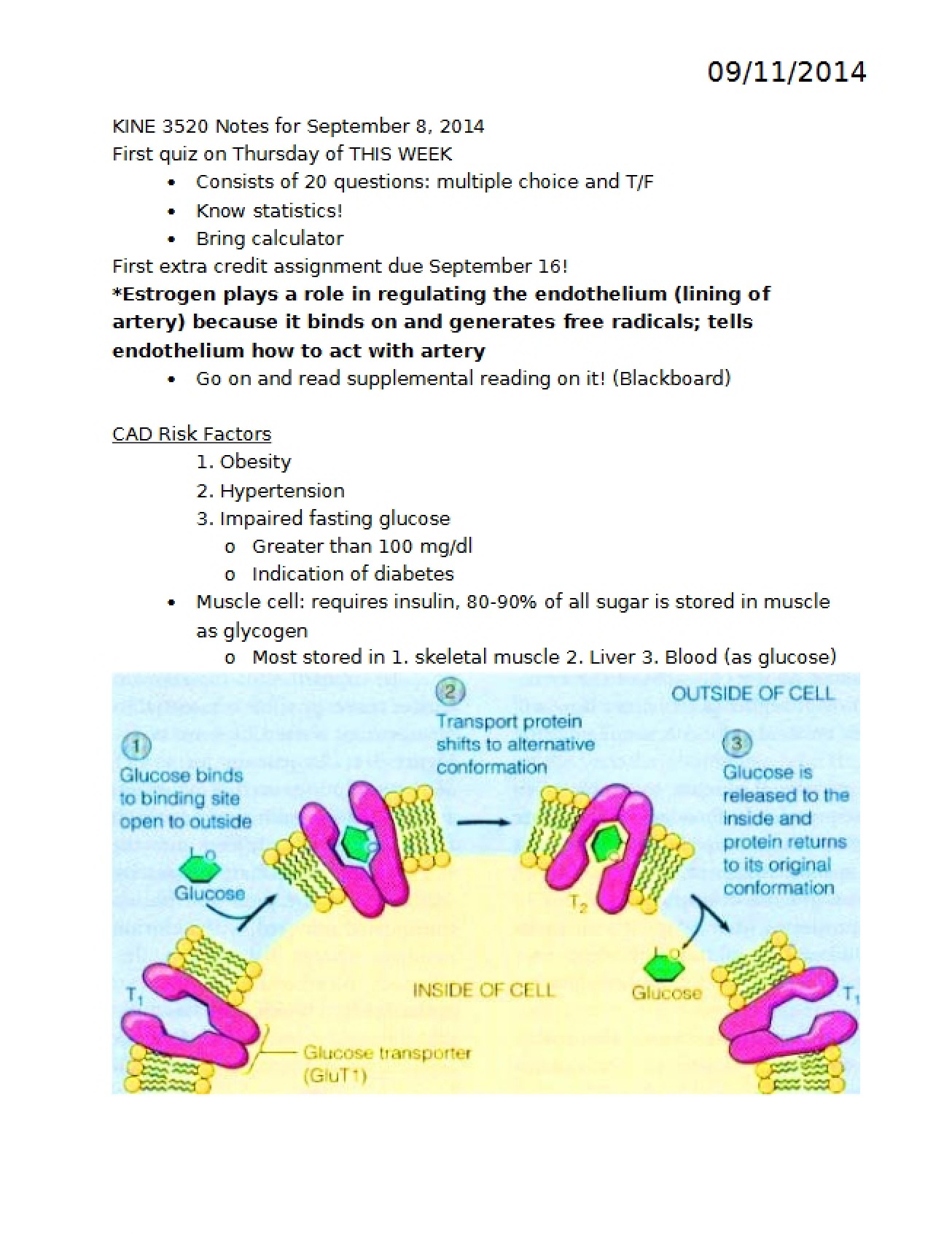 Key Risk Factors Associated with CAD