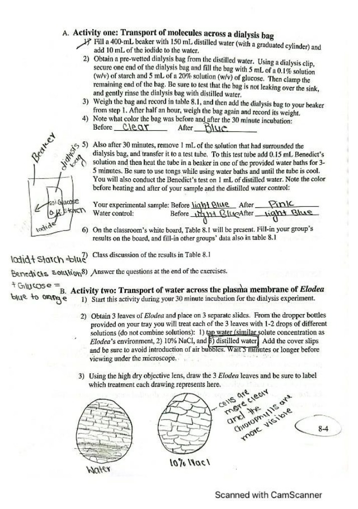 Dialysis and Elodea Transport - Biology Lab Report