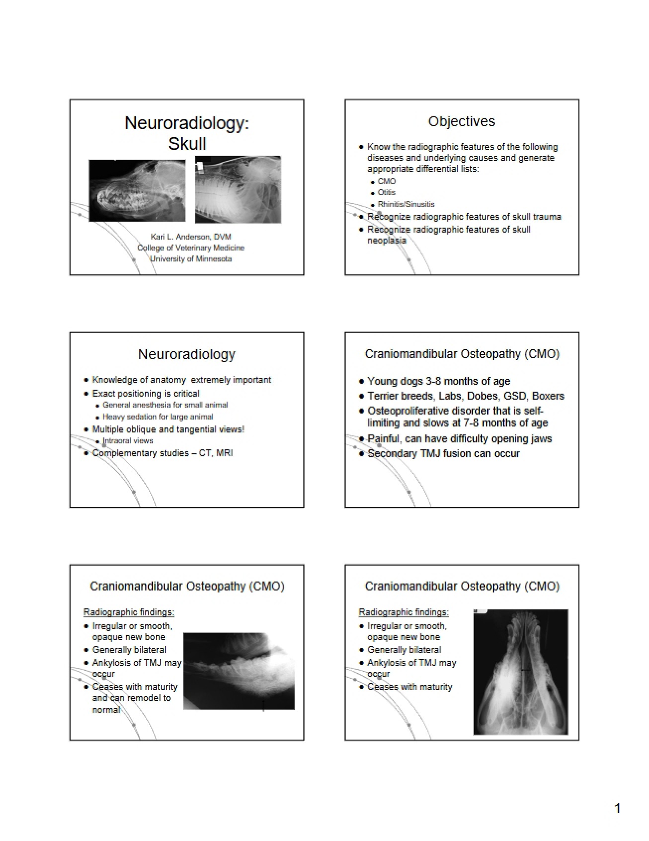 Skull Neuroradiology