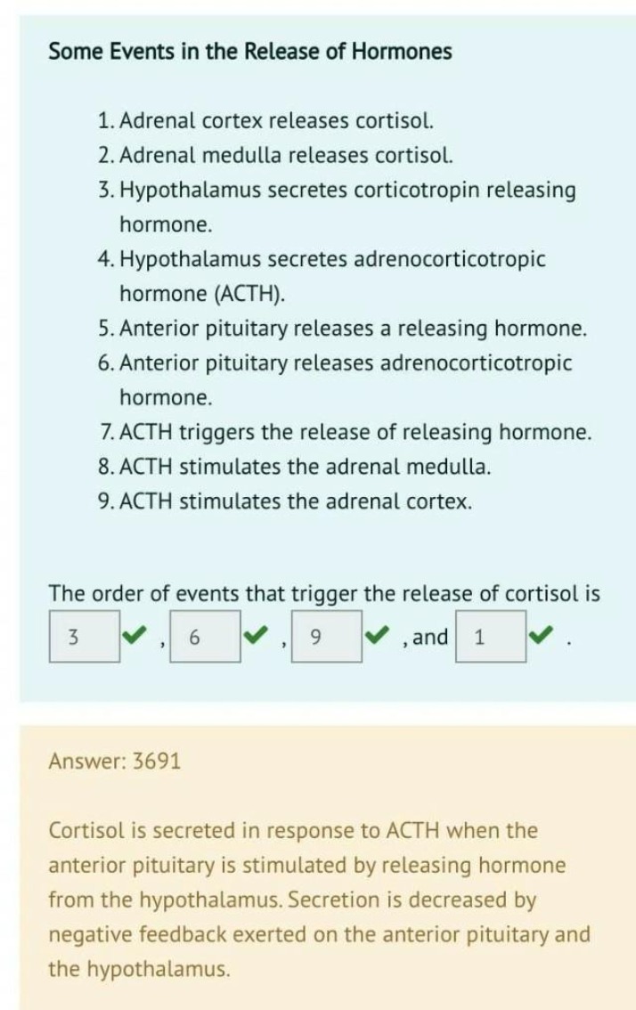 Hormone Release - Events, Triggers, and Feedback