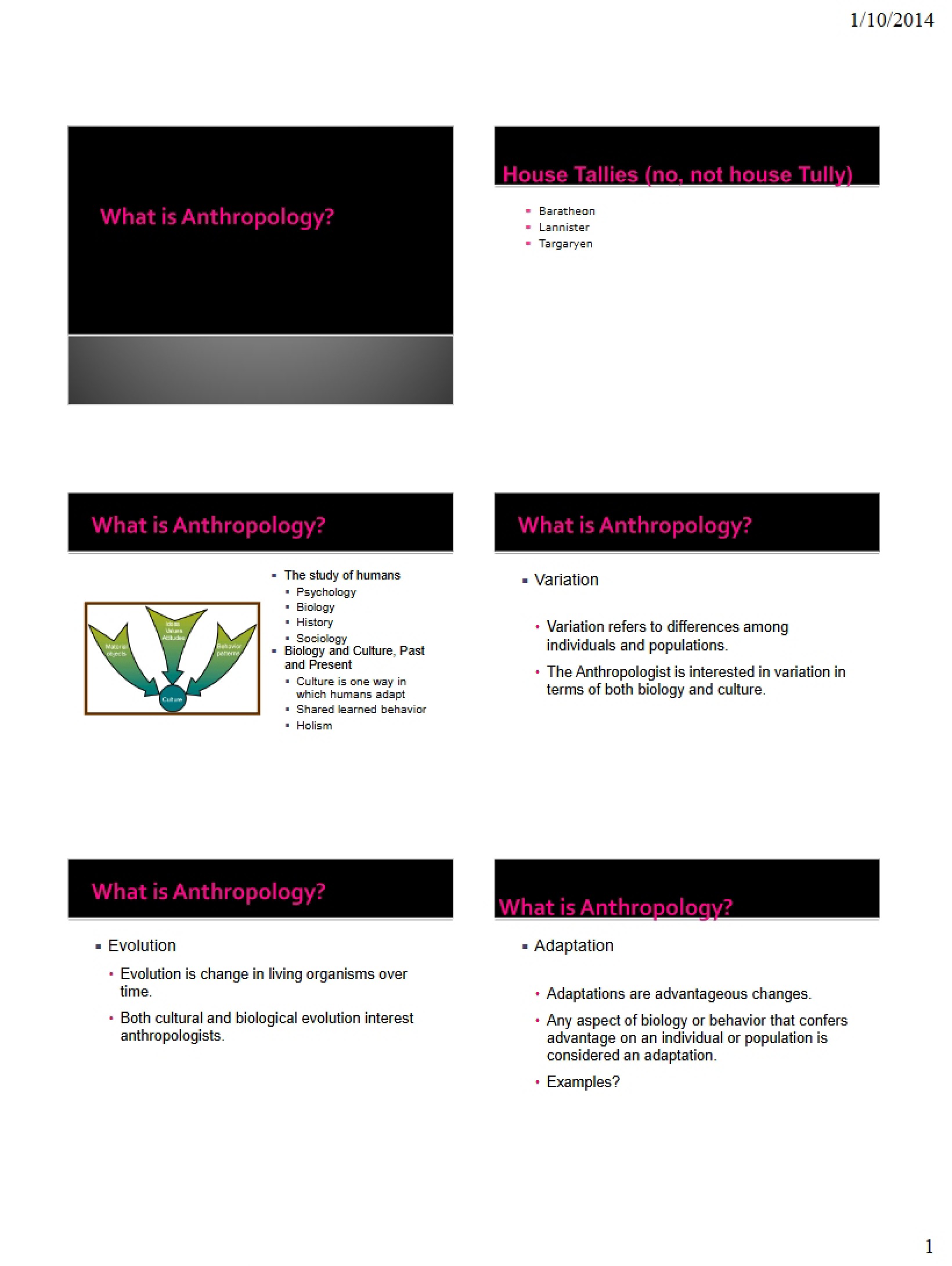 Intro to Anthropology