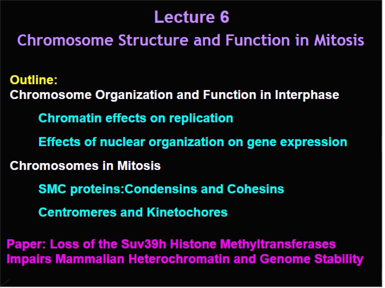 Mitotic Chromosome Function and Structure