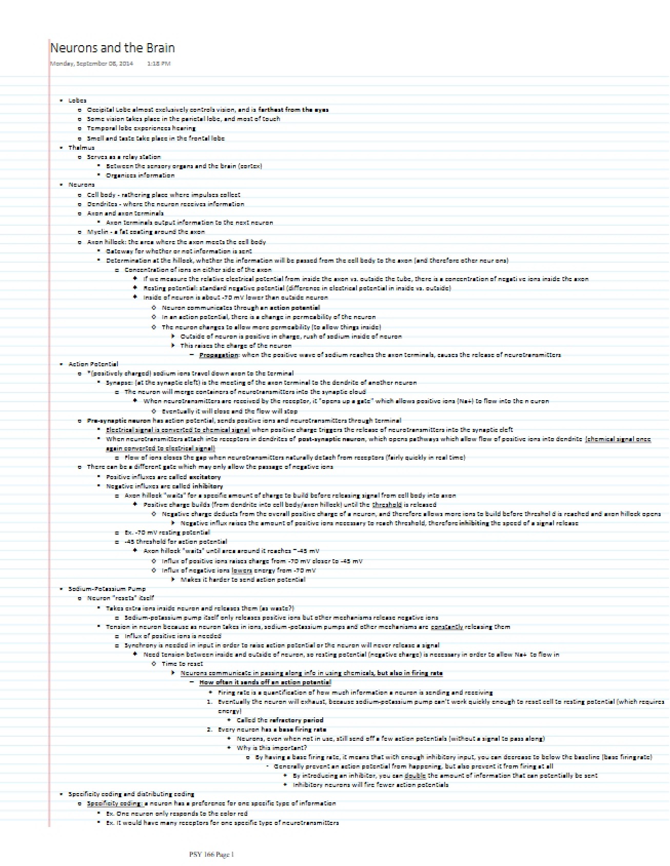 Neurology and Brain Function